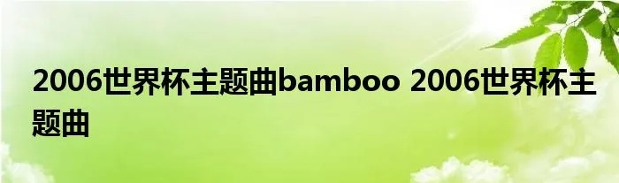 06年世界杯bamboo 06年世界杯巴西队-第2张图片-www.211178.com_果博福布斯